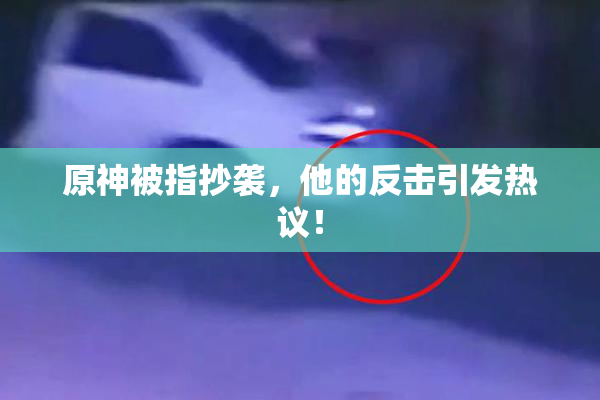 原神被指抄袭，他的反击引发热议！
