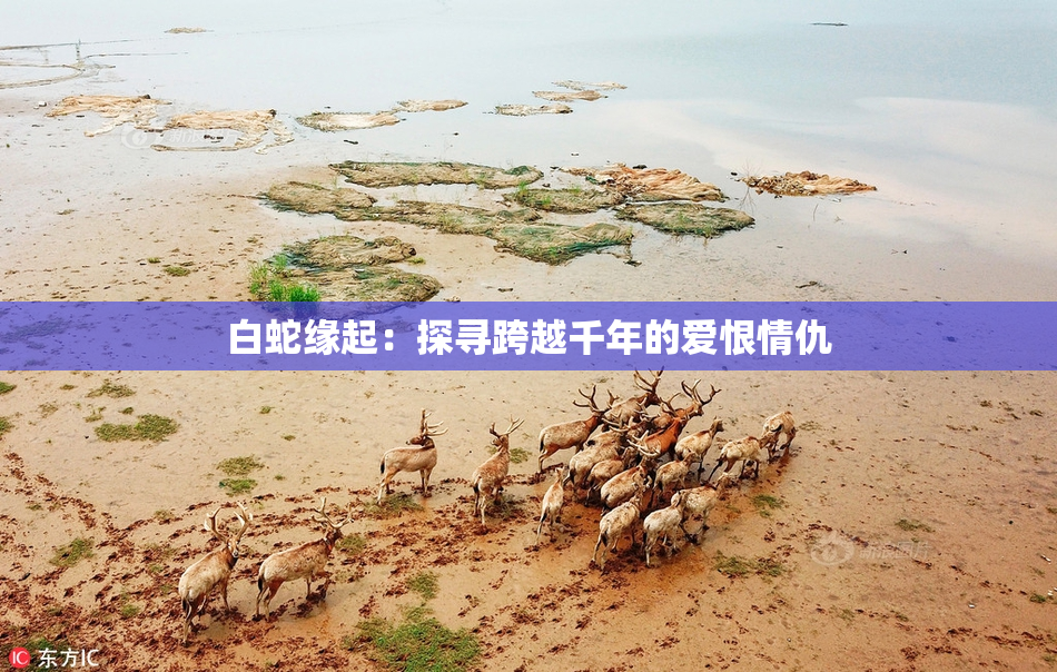 白蛇缘起：探寻跨越千年的爱恨情仇