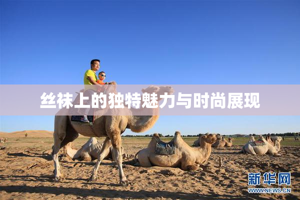 丝袜上的独特魅力与时尚展现