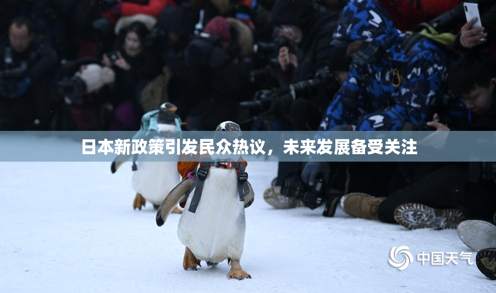 日本新政策引发民众热议，未来发展备受关注