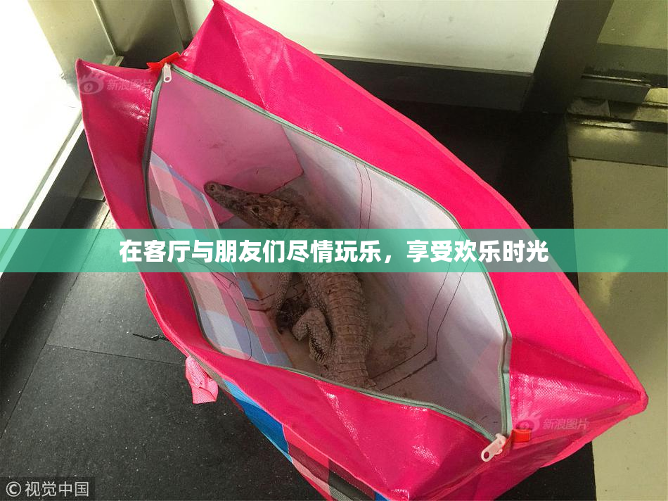 在客厅与朋友们尽情玩乐，享受欢乐时光
