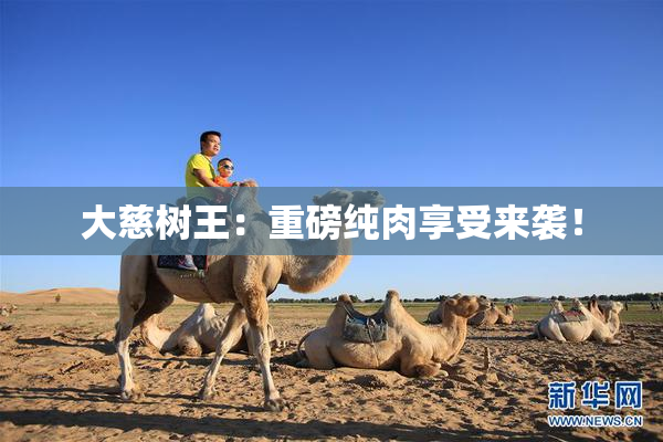 大慈树王：重磅纯肉享受来袭！