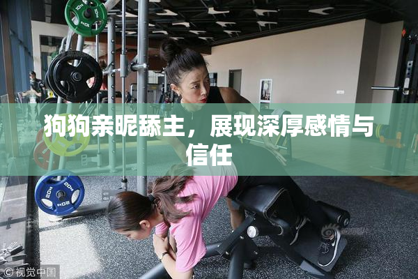 狗狗亲昵舔主，展现深厚感情与信任