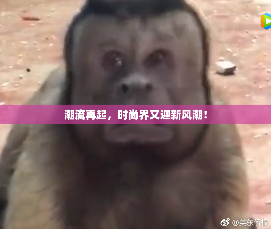 潮流再起，时尚界又迎新风潮！