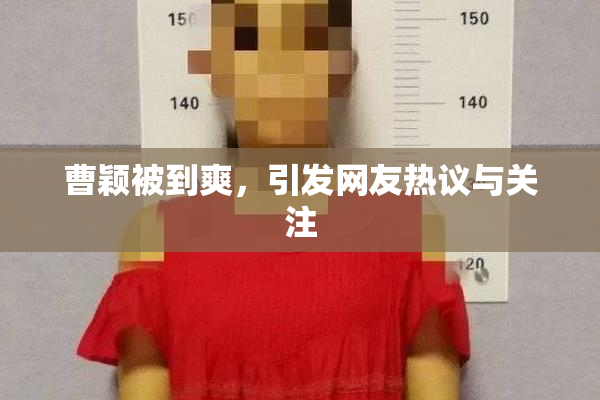 曹颖被到爽，引发网友热议与关注