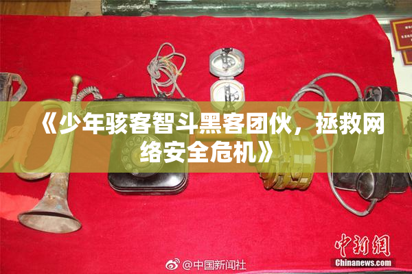 《少年骇客智斗黑客团伙，拯救网络安全危机》