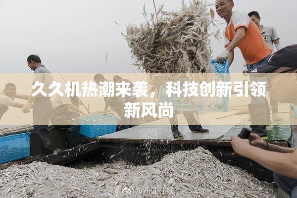 久久机热潮来袭，科技创新引领新风尚