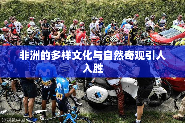 非洲的多样文化与自然奇观引人入胜