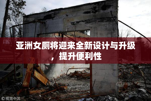 亚洲女厕将迎来全新设计与升级，提升便利性