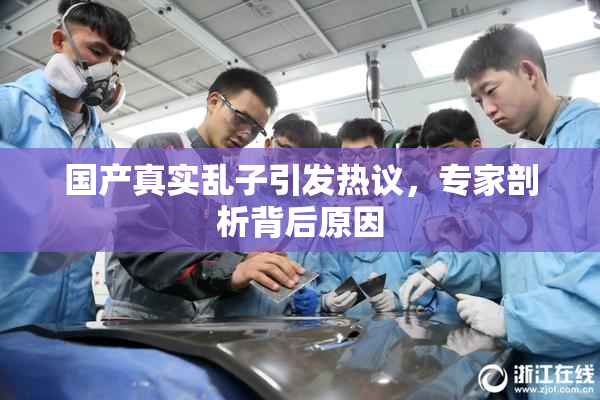 国产真实乱子引发热议，专家剖析背后原因