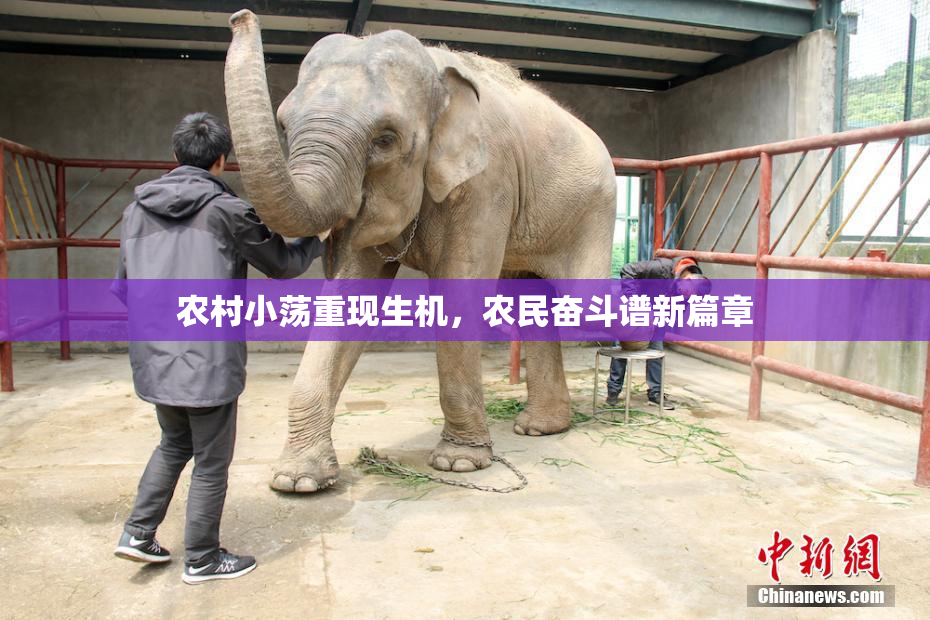农村小荡重现生机，农民奋斗谱新篇章