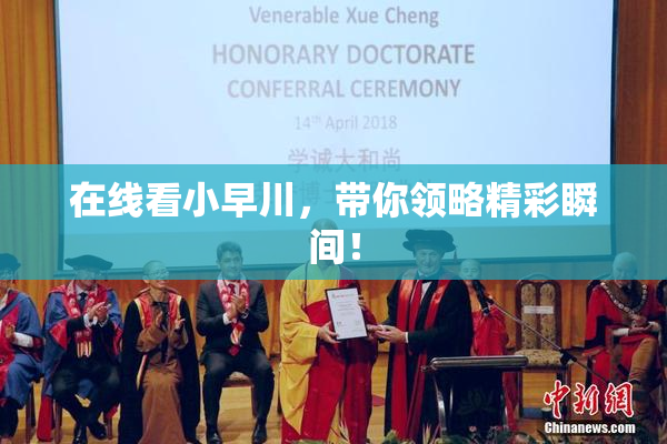 在线看小早川，带你领略精彩瞬间！