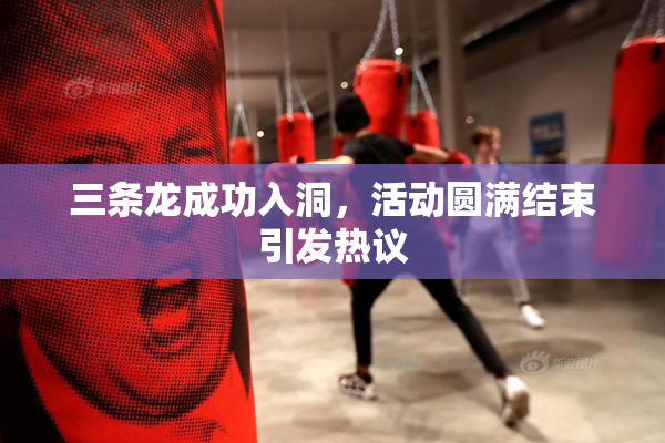三条龙成功入洞，活动圆满结束引发热议