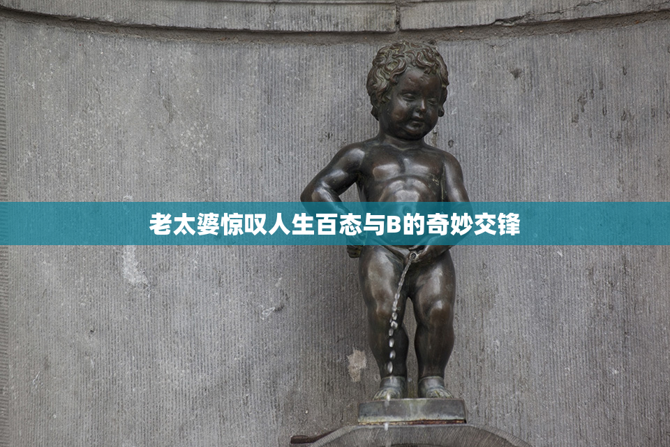 老太婆惊叹人生百态与B的奇妙交锋