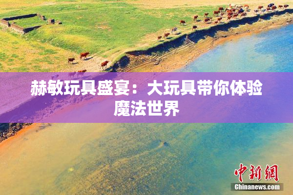 赫敏玩具盛宴：大玩具带你体验魔法世界