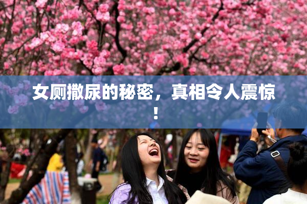 女厕撒尿的秘密，真相令人震惊！