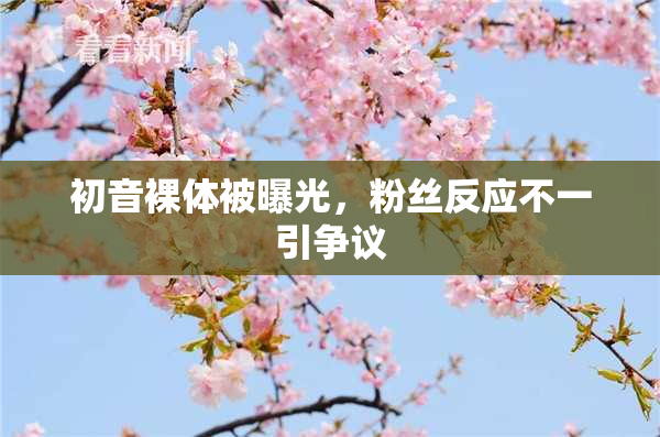 初音裸体被曝光，粉丝反应不一引争议