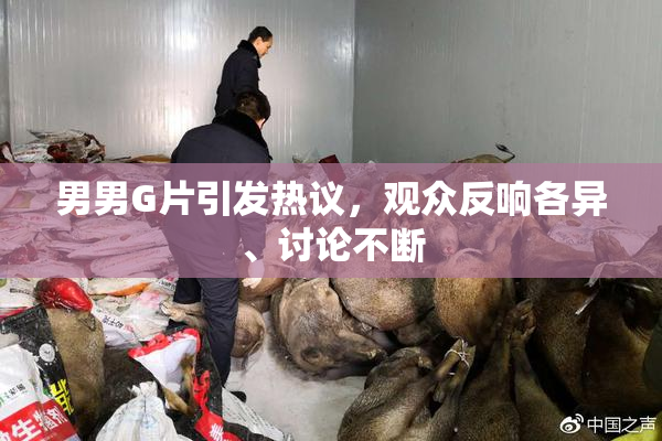 男男G片引发热议，观众反响各异、讨论不断