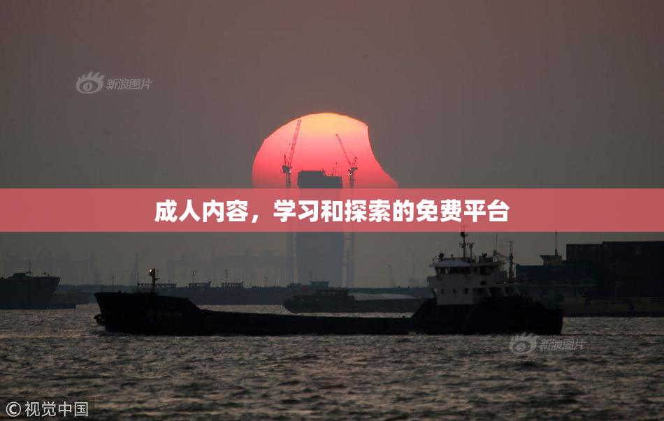 成人内容，学习和探索的免费平台
