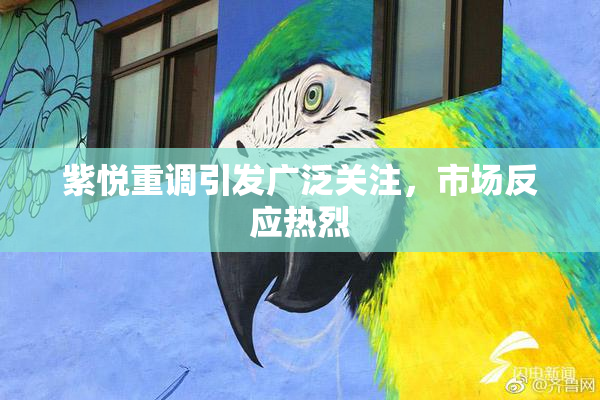 紫悦重调引发广泛关注，市场反应热烈