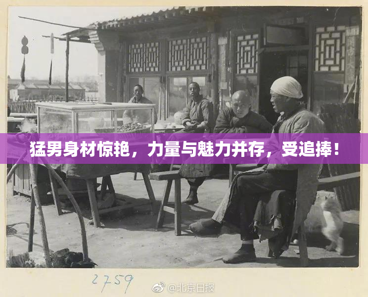 猛男身材惊艳，力量与魅力并存，受追捧！