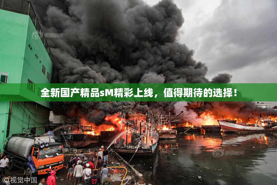 全新国产精品sM精彩上线，值得期待的选择！