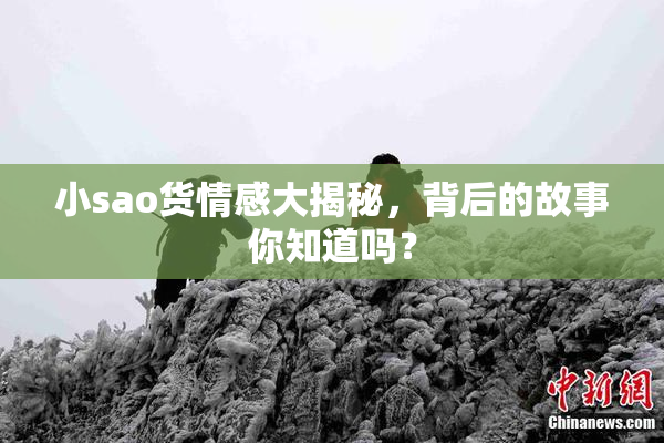 小sao货情感大揭秘，背后的故事你知道吗？