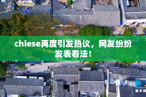 chiese再度引发热议，网友纷纷发表看法！