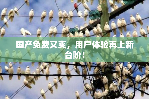 国产免费又爽，用户体验再上新台阶！