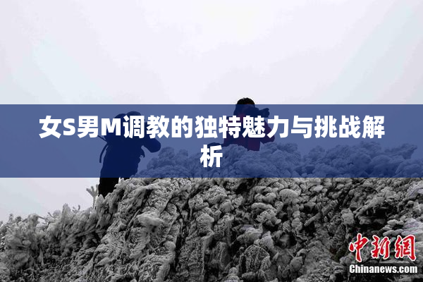 女S男M调教的独特魅力与挑战解析