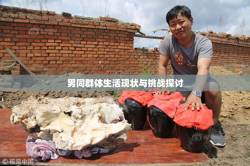 男同群体生活现状与挑战探讨