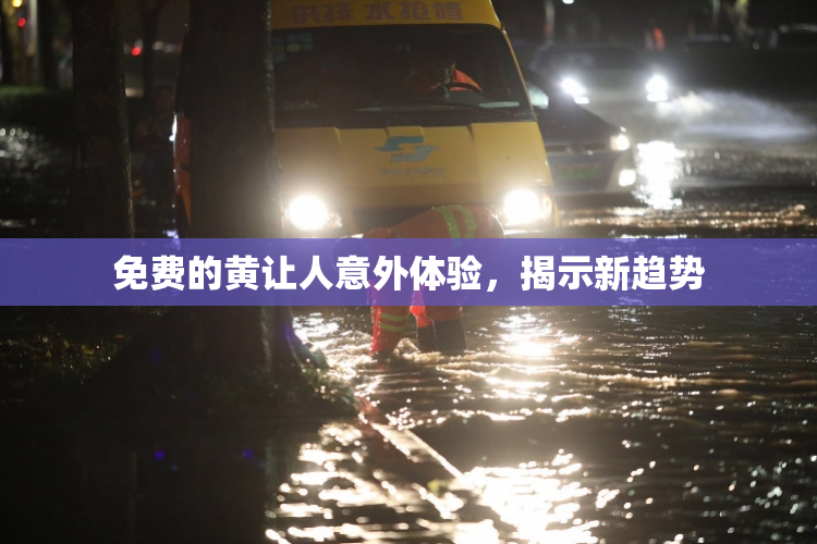 免费的黄让人意外体验，揭示新趋势