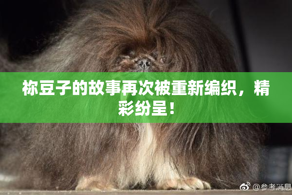 祢豆子的故事再次被重新编织，精彩纷呈！