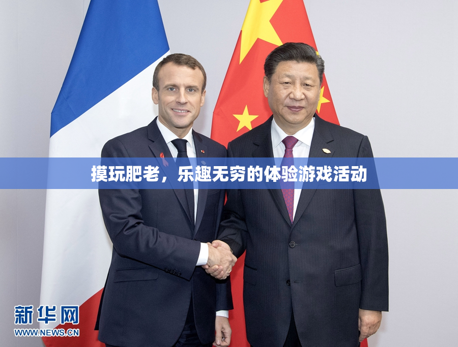 摸玩肥老，乐趣无穷的体验游戏活动