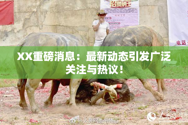 XX重磅消息：最新动态引发广泛关注与热议！