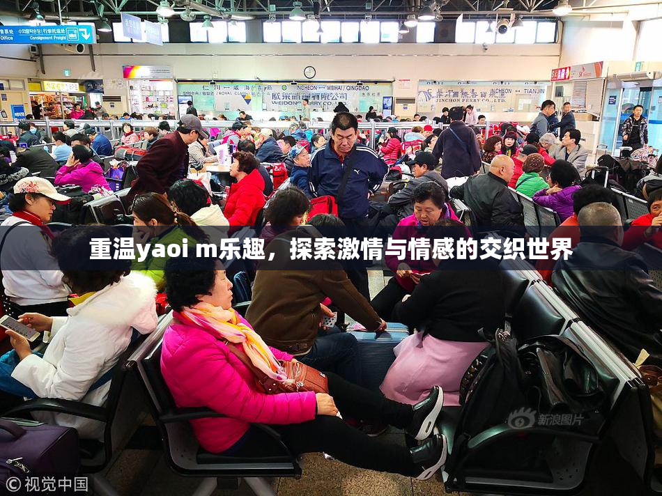 重温yaoi m乐趣，探索激情与情感的交织世界