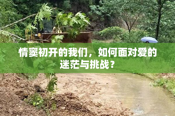 情窦初开的我们，如何面对爱的迷茫与挑战？