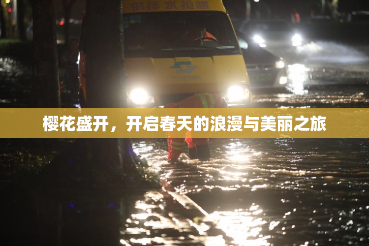 樱花盛开，开启春天的浪漫与美丽之旅