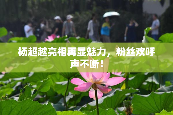 杨超越亮相再显魅力，粉丝欢呼声不断！