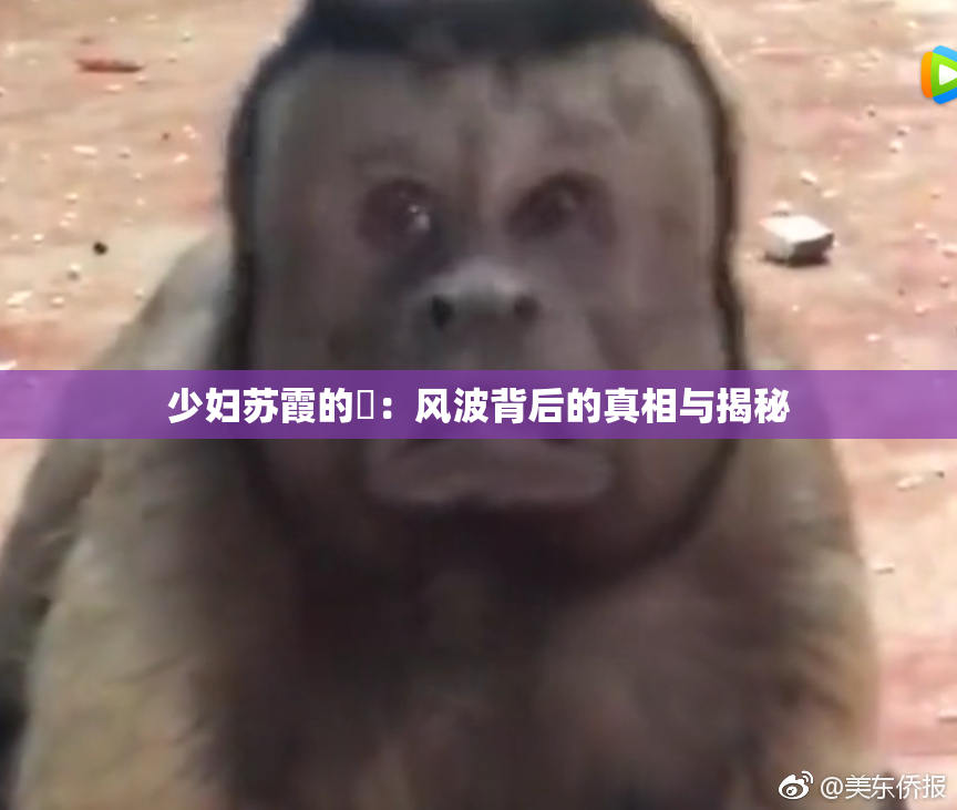 少妇苏霞的婬：风波背后的真相与揭秘