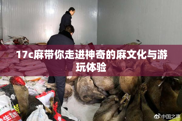 17c麻带你走进神奇的麻文化与游玩体验