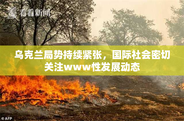 乌克兰局势持续紧张，国际社会密切关注www性发展动态