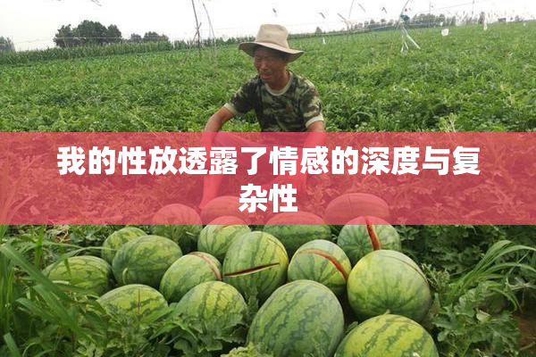 我的性放透露了情感的深度与复杂性