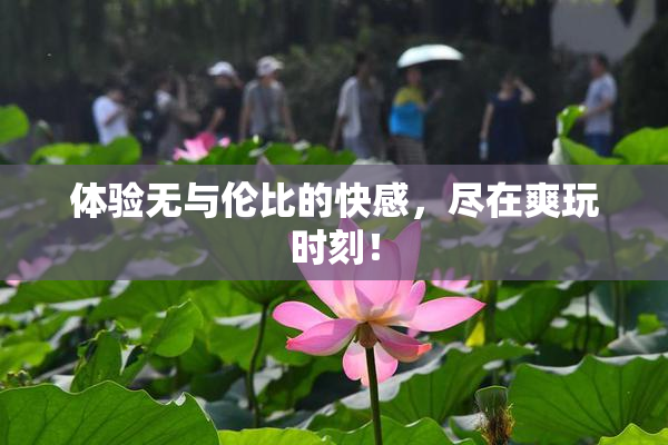 体验无与伦比的快感，尽在爽玩时刻！