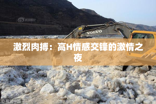 激烈肉搏：高H情感交锋的激情之夜