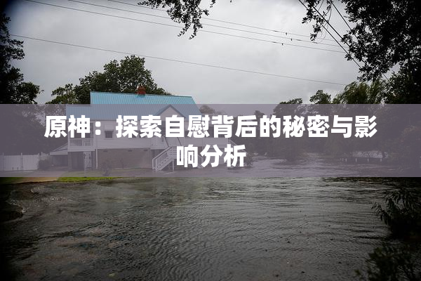 原神：探索自慰背后的秘密与影响分析