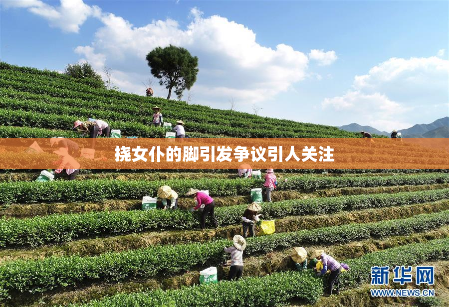 挠女仆的脚引发争议引人关注