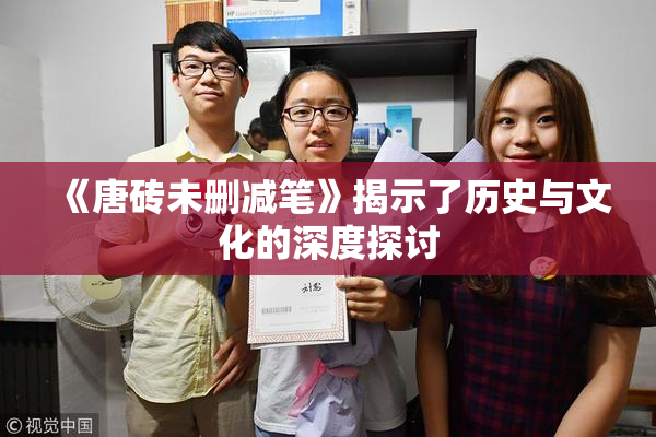 《唐砖未删减笔》揭示了历史与文化的深度探讨