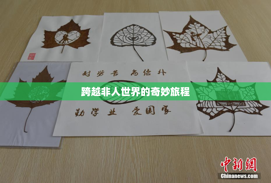 跨越非人世界的奇妙旅程