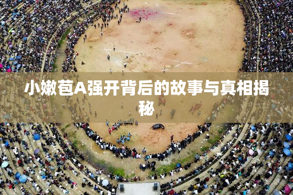 小嫩苞A强开背后的故事与真相揭秘